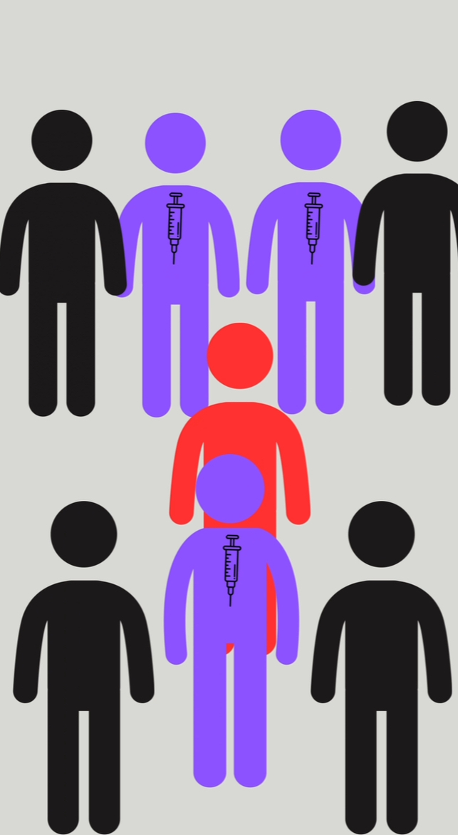 Understanding Vaccines: A Journey Through&nbsp;History